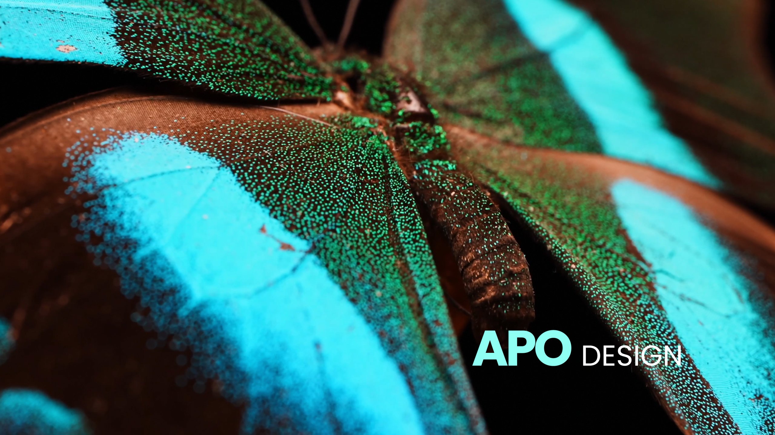 Extreme macro close-up of a vibrant blue and green butterfly wing